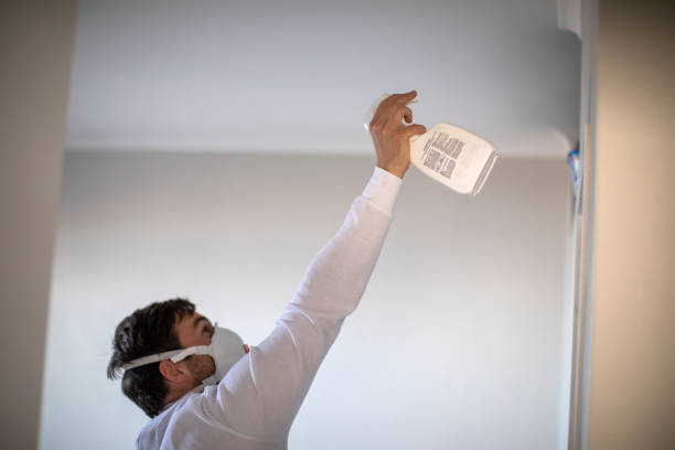 Best Black Mold Removal  in Okeechobee, FL