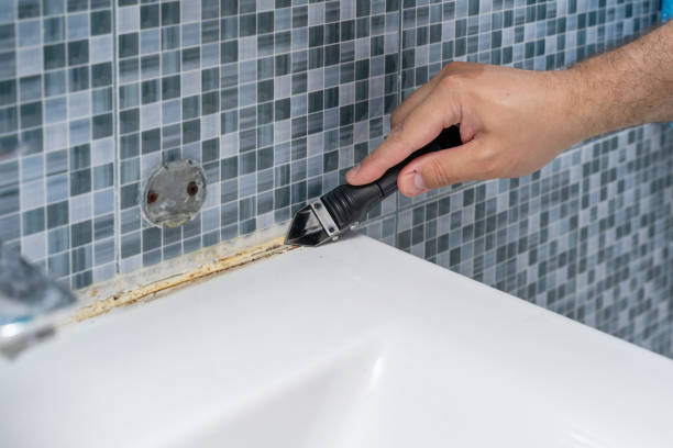 Best Fast Mold Removal  in Okeechobee, FL