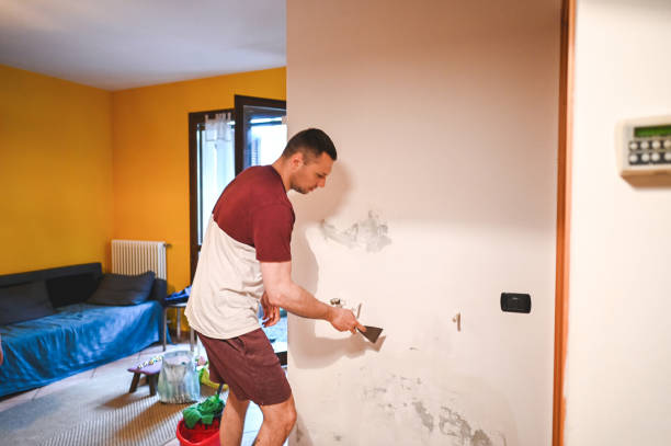 Crawl Space Mold Removal in Okeechobee, FL